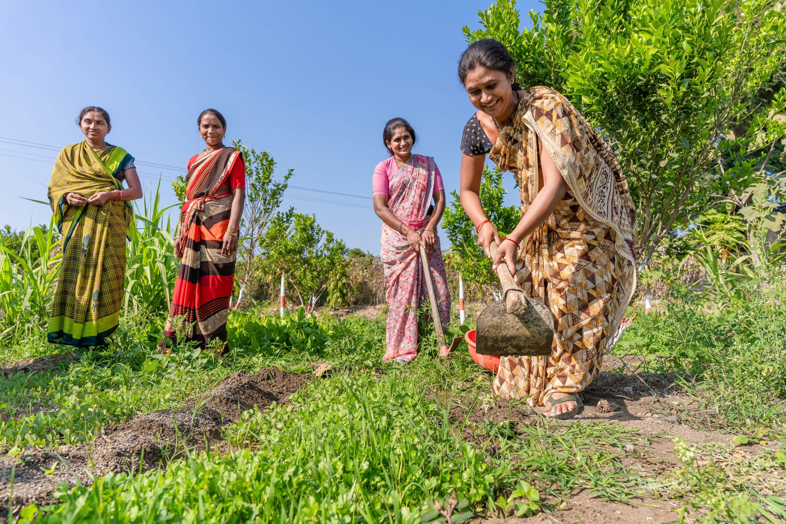 Female farmers ploughing a field