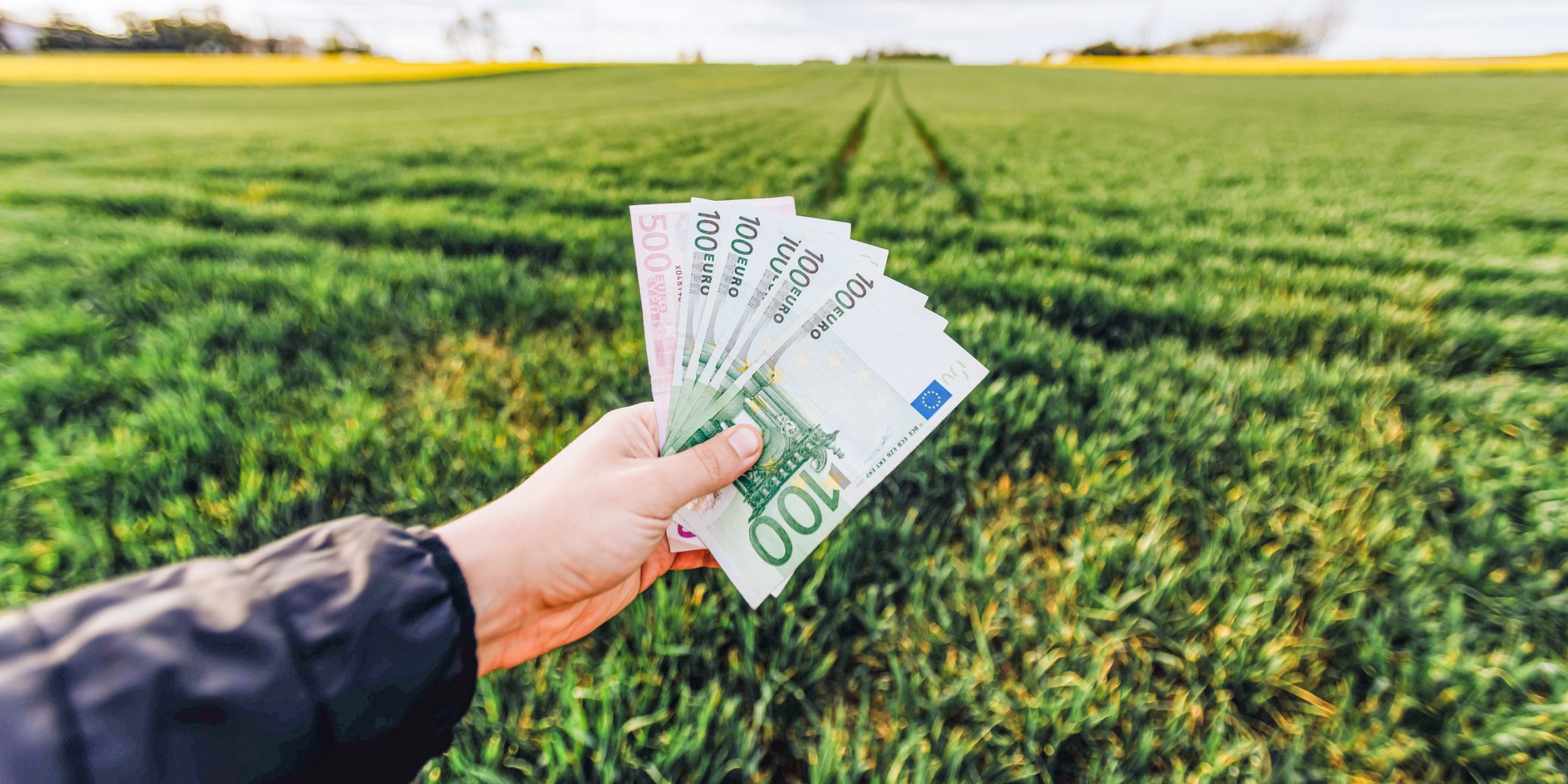 Farmer holding money in a field