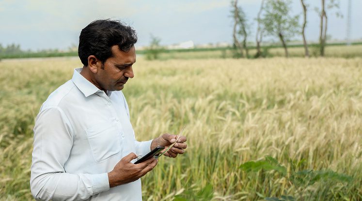 Man examining a leaf on the farm while holding a phone