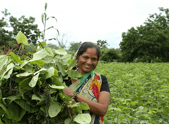 female farmer holding harvested crops